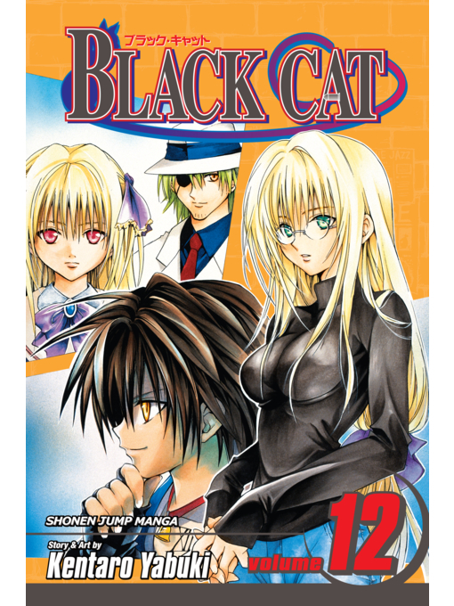 Title details for Black Cat, Volume 12 by Kentaro Yabuki - Wait list
